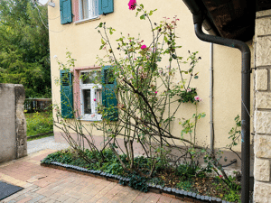 Ein-/Zweifamilienhaus mit Werkstatt, Garagen & Entwicklungspotenz – 1219 Dresden – Vorschaubild 5