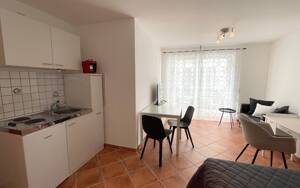 möblierte 1-Zimwhg. in Heidelberg - Wohnen auf Zeit ab 1 Monat – 69121 Heidelberg – Vorschaubild 2