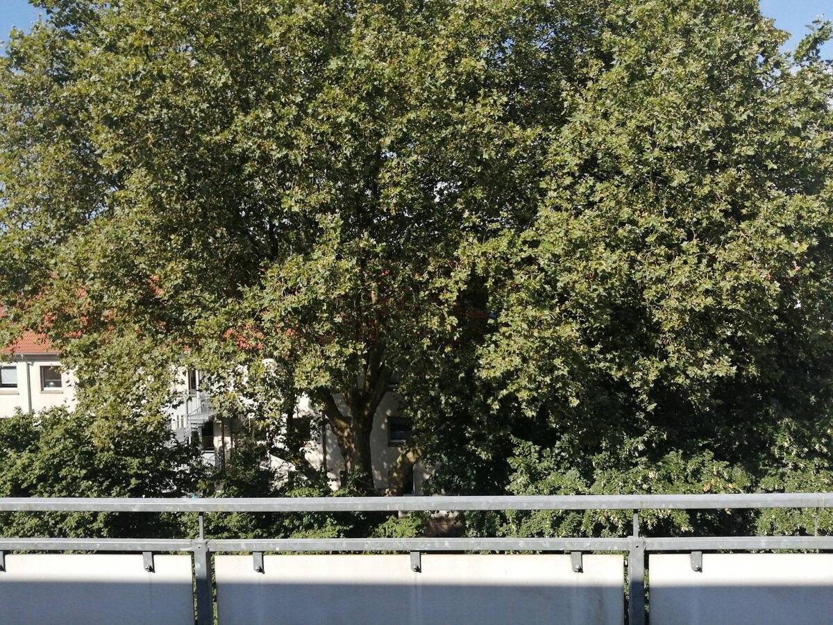 Schöne Wohnung im Kaiserstraßenviertel – 44143 Dortmund – Bild 1 von 8