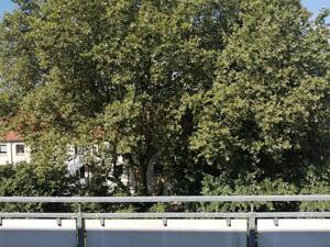 Schöne Wohnung im Kaiserstraßenviertel