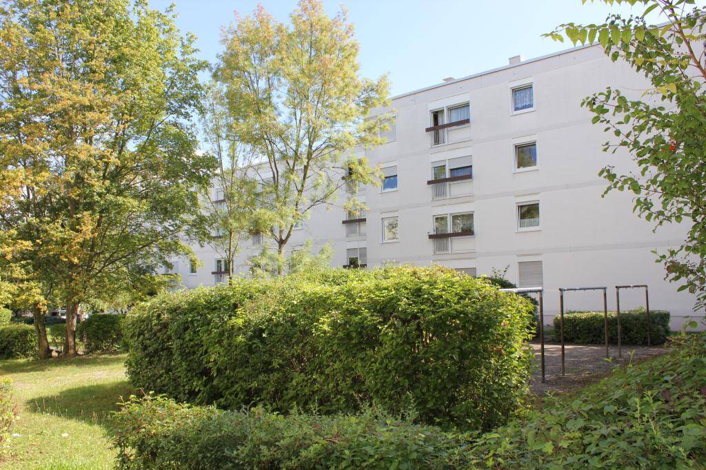 leere 3-Zi. Wohnung in Mainz-Mombach