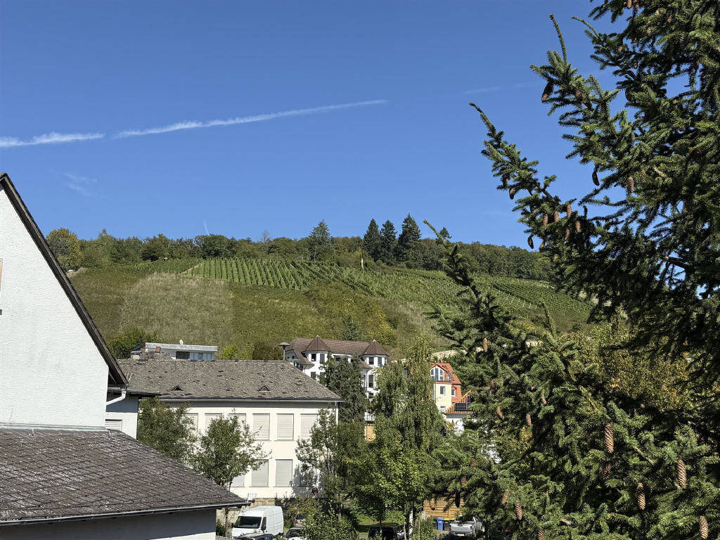 Attraktives freistehendes Einfamilienhaus teilweise mit Blick und schönen Terrassen – Eltville am Rhein – Vorschaubild 6