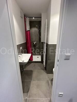 Über den Dächern Mannheims - charmantes 1-Zimmer-Apartment mit traumhafter Dachterrasse – 68165 Mannheim – Vorschaubild 5