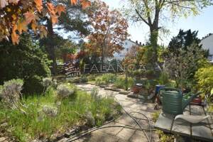 FALANGA IMMOBILIEN - Begehrter Familien-Bungalow in gepflegtem Zustand und top Lage von Mz-Mombach! – 55120 Mainz – Vorschaubild 4