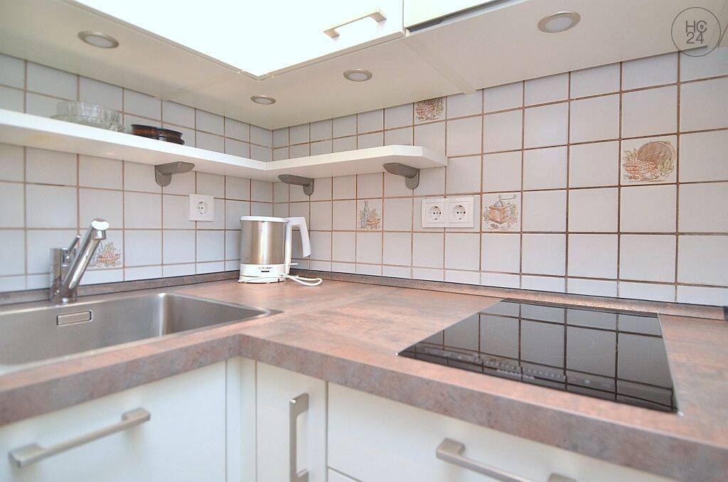 Möblierte 1-Zimmer-Wohnung mit WESTBALKON am Wöhrder See – Nürnberg – Vorschaubild 3