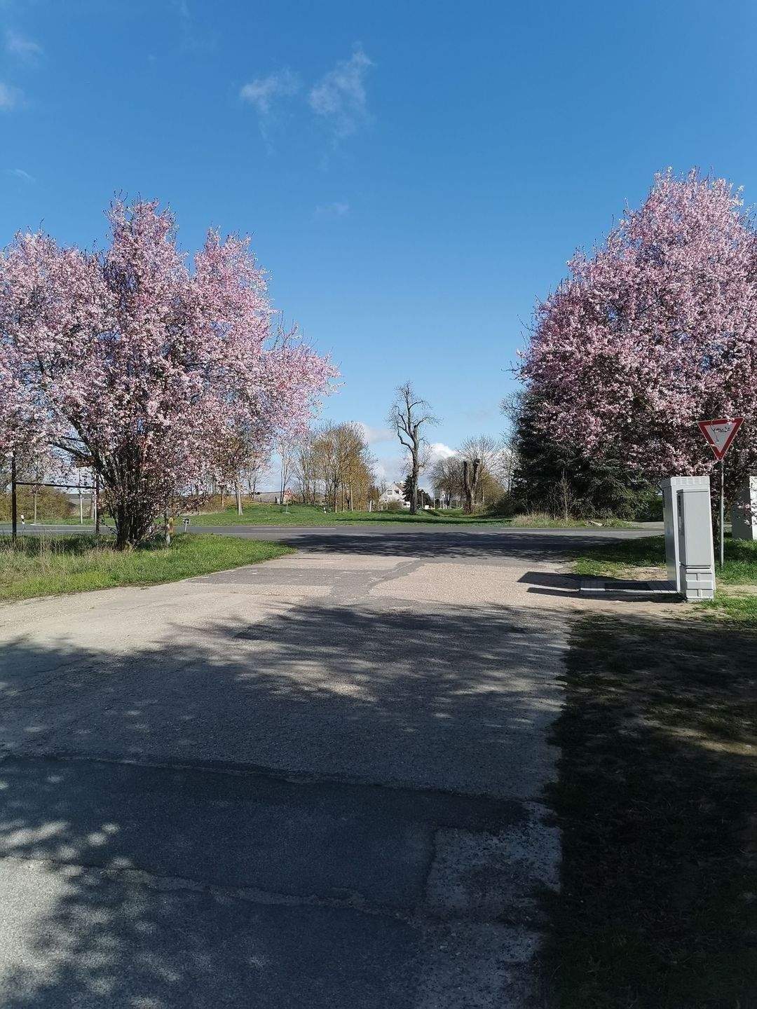***IHRE OASE DER RUHE MIT GRANDIOSEN WEITBLICK IN ANGERMÜNDE OT GÜNTERBERG*** – Angermünde – Vorschaubild 2