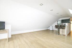 *Trier-Tarforst* lichtdurchflutetes Apartment mit Loftcharakter! – 54296 Trier – Vorschaubild 3