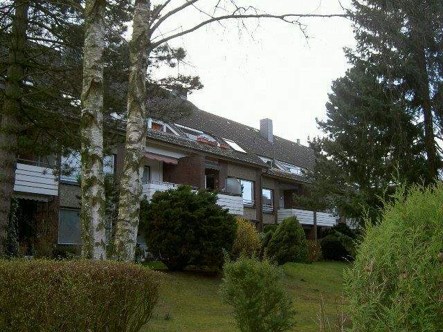 Echternach Immobilien ... vermietete 1 Zimmer-Wohnung in ruhiger Wohnlage – Reinbek – Vorschaubild 3