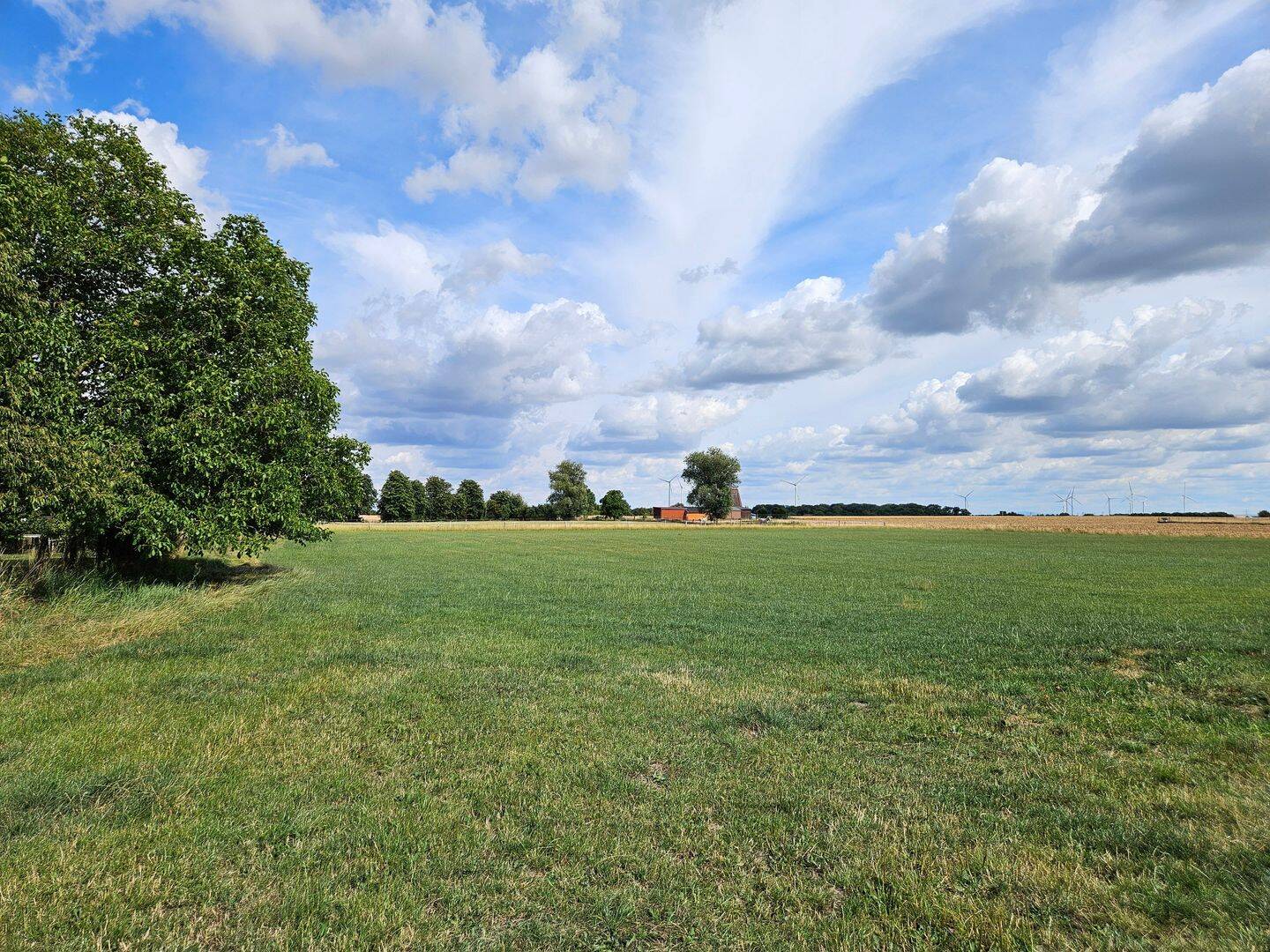 Ein Bungalow, der begeistert im kommenden Baugebiet in Mehrum. – Hohenhameln – Vorschaubild 4