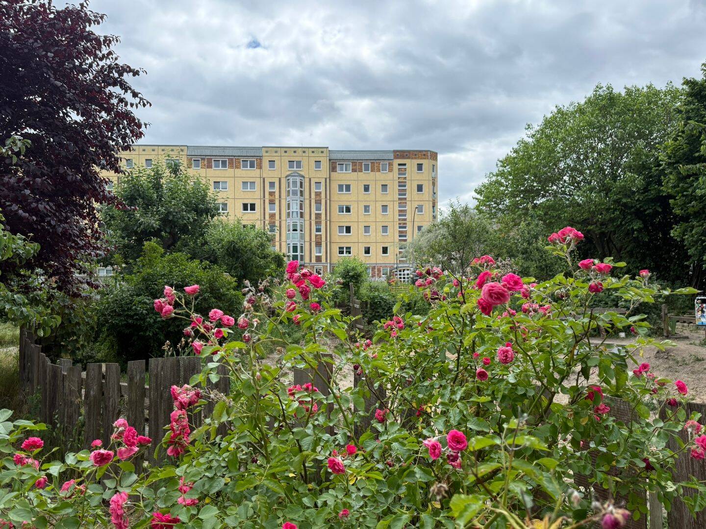 zentrales Friedrichshain - gut geschnitten und geräumig