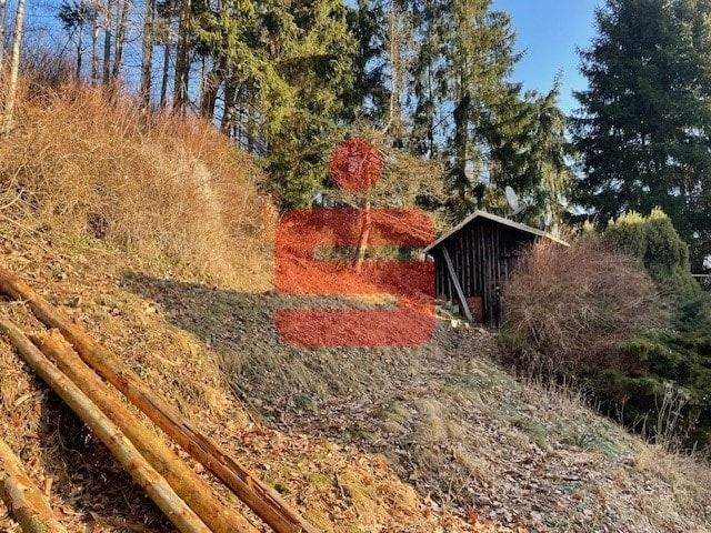 Viel Platz für neue Ideen – Greiz – Vorschaubild 4