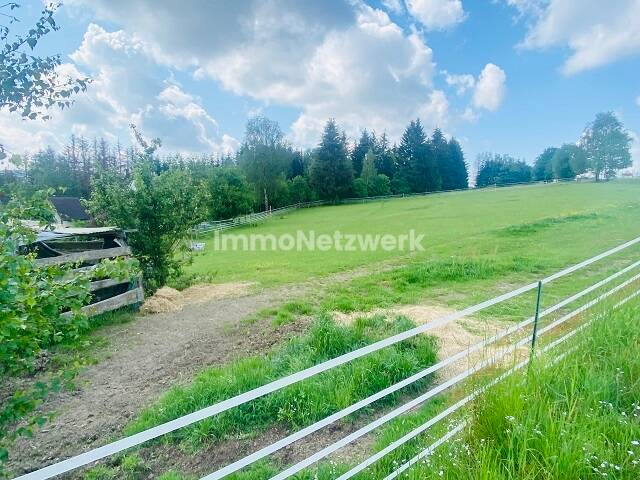 ca. 10.000 qm² Grundstück**Perfekt für Tierfreunde** – Schwarzenbach am Wald – Vorschaubild 5