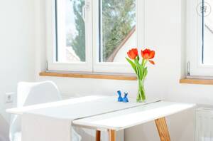 modern möblierte City Wohnung in unmittelbarer Nähe der Ehinger Parkanlage – 89077 Ulm – Vorschaubild 2