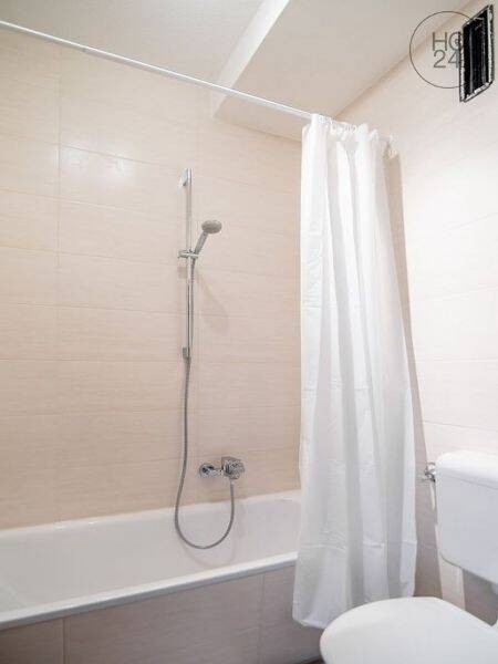 Modernes, hochwertig möbliertes Apartment mit WLAN ruhig gelegen am Nürnberger Plärrer – Nürnberg – Vorschaubild 4