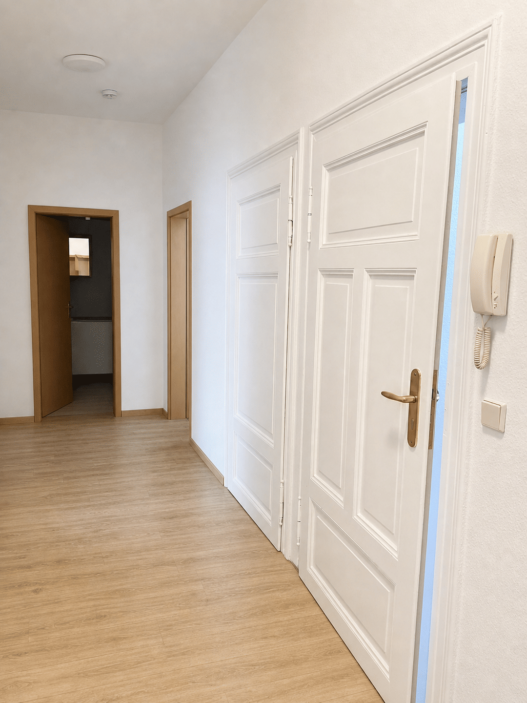 Mehrfamilienhaus mit attraktivem Entwicklungspotenzial und möglicher Bebauung in zweiter Reihe – Leipzig – Vorschaubild 2