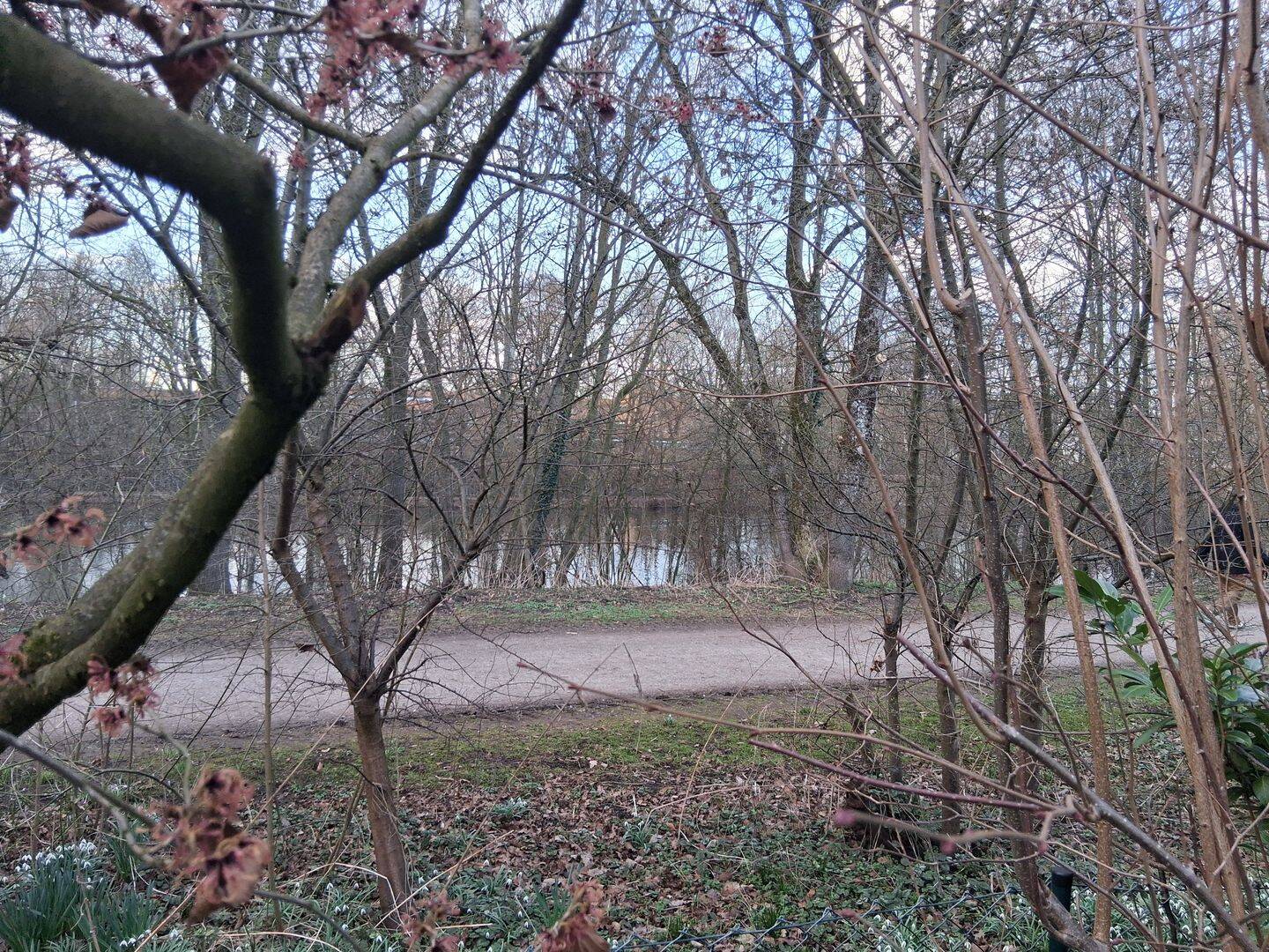 Architektenhaus Wüste! – Osnabrück – Vorschaubild 3