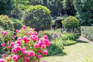 Herrschaftliches Wohnen in Marienburg - Denkmalgeschützte Gartenwohnung mit Villencharme – 50968 Köln – Vorschaubild 8