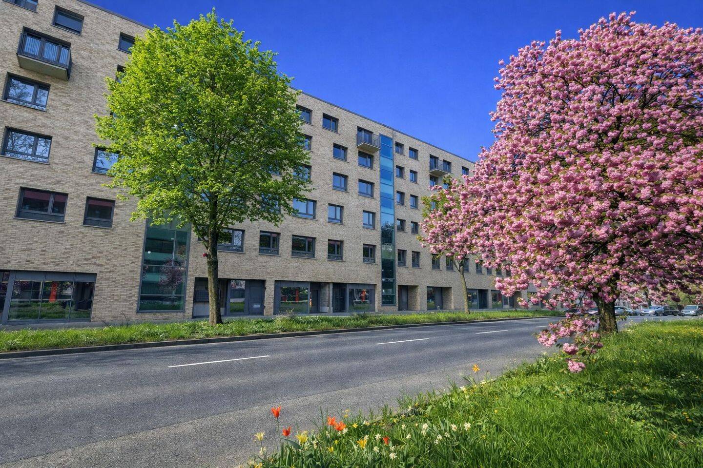 Nexus² - Helle 2-Zimmerwohnung inkl. Einbauküche und großer Loggia in zentraler Lage – Mannheim – Vorschaubild 5