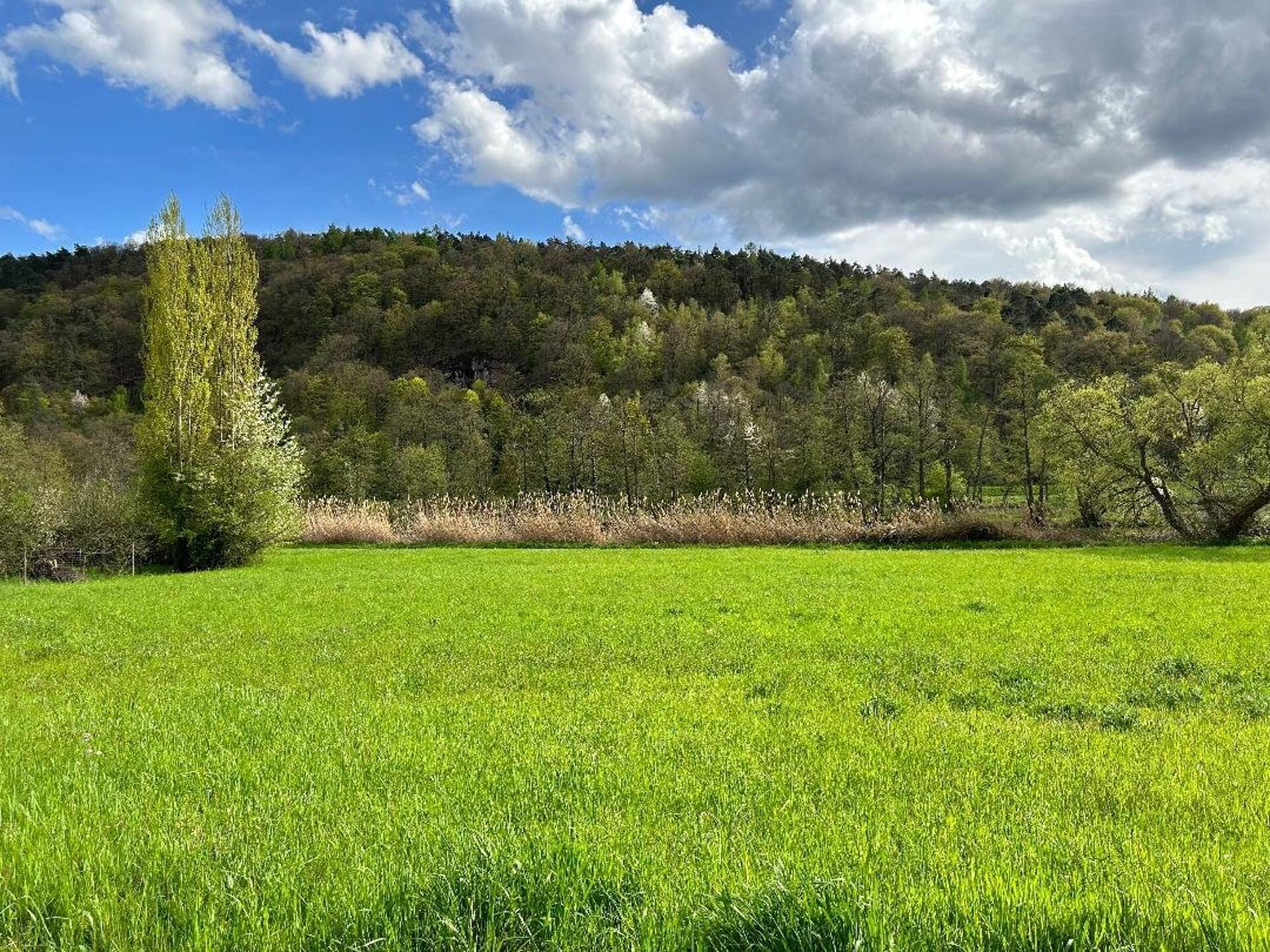 Einfamilienhaus in 63755 Alzenau mit 165 m² kaufen