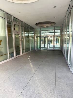 Am Kurpark / Casino / Theater - mit Aufzug - 250 m² Wohnfläche - Klimatisiert! – 65183 Wiesbaden – Vorschaubild 4