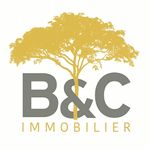 B&C IMMO logo