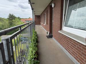 Zwei pflegeleichte Wohnungen (ca. 78qm+63m²) in zentraler Lage von Meppen! – 49716 Meppen – Vorschaubild 5