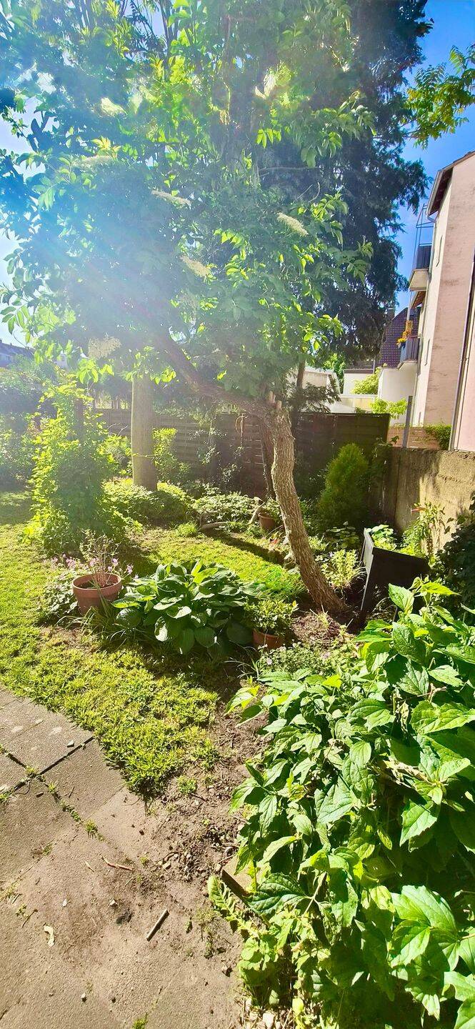 Ein Stück Paderborn – 4 - Familienhaus – Paderborn – Vorschaubild 3