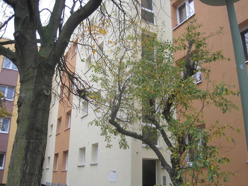 Charmant sanierte 3-Raum-Wohnung