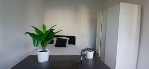 Room Available in Shared 6-Person Apartment – Frankfurt-Höchst – 65929 Frankfurt am Main – Vorschaubild 9