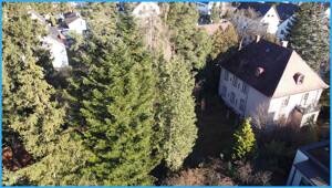 DIPL.-Immowirt MAIER !! VILLA auf parkähnlichem Grundstück in ruhiger Lage - wartet auf Sanierung !! – 80686 München – Vorschaubild 9