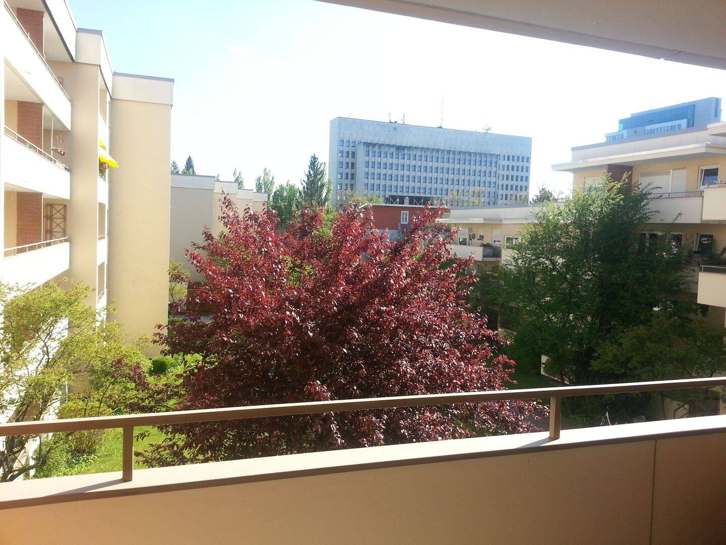 Möblierte 1-Zimmer-Wohnung München-Pasing mit Süd-Loggia – München – Vorschaubild 4
