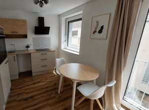 Hochwertiges Studio-Apartment in Mannheim Neckarstadt-West, vollmöbliert, 1-Zimmer Wohnung, möbliert – 68169 Mannheim – Vorschaubild 4