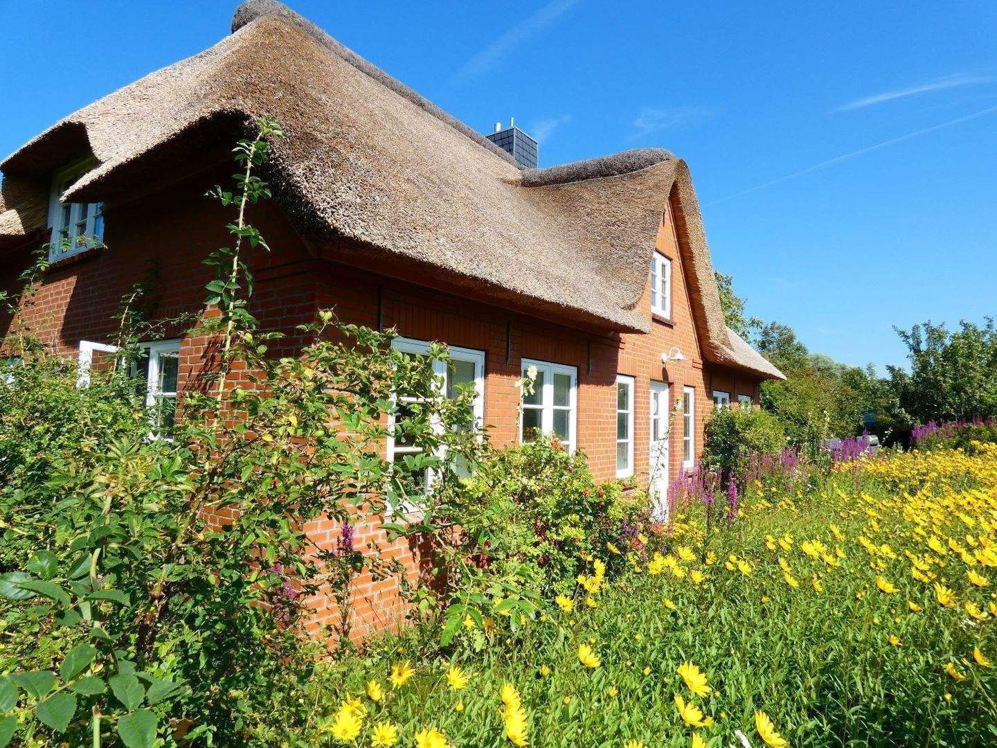 Reetdachhaus am Nordseedeich, virtuelle Besichtigung möglich – Westerhever – Vorschaubild 4