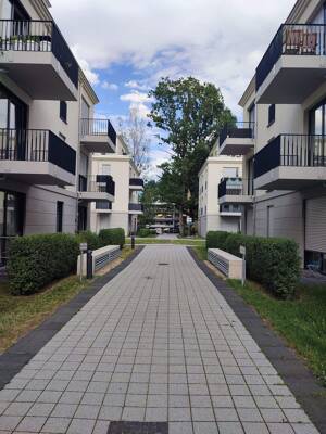 Schöne 2-Raumwohnung zur Miete in Potsdam Waldstadt 2 - Wentzel Dr. -