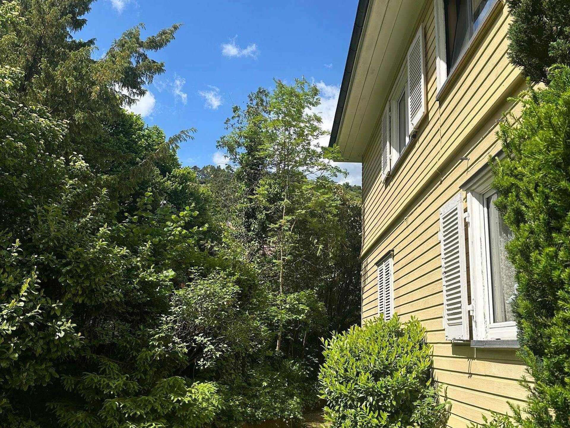 Einfamilienhaus in 78224 Singen (Hohentwiel) mit 170,8 m² kaufen