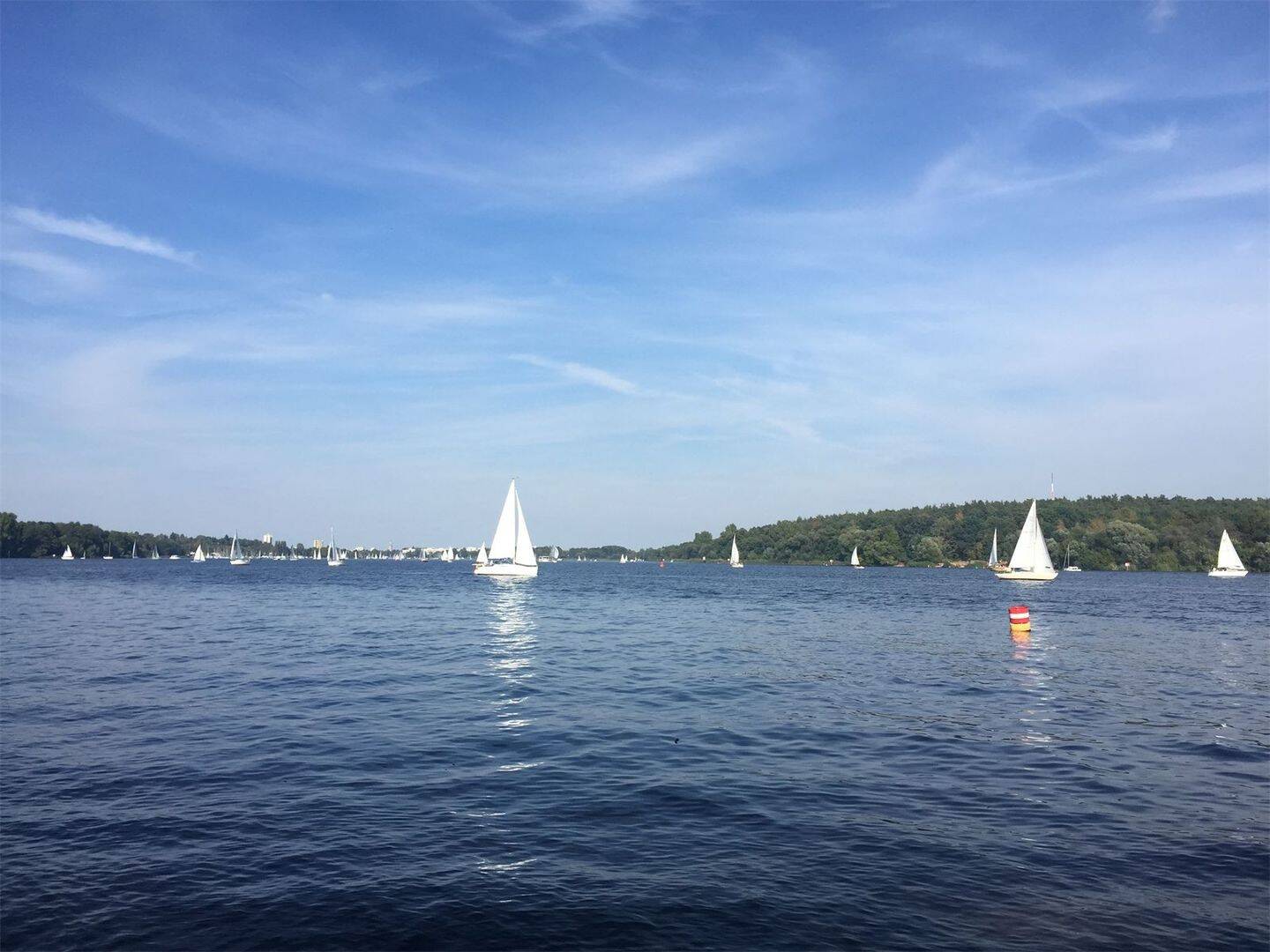 NUR 500 METER ZUM WASSER - ERSTKLASSIGE 5 - ZIMMER NEUBAUVILLA – Potsdam – Vorschaubild 2