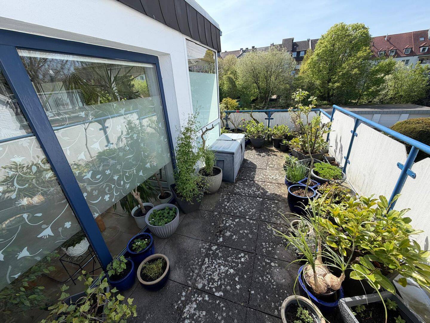 Schicke Penthouse - Wohnung mit Dachterrasse in ruhiger und guter Wohnlage am Westerberg – Osnabrück – Vorschaubild 5