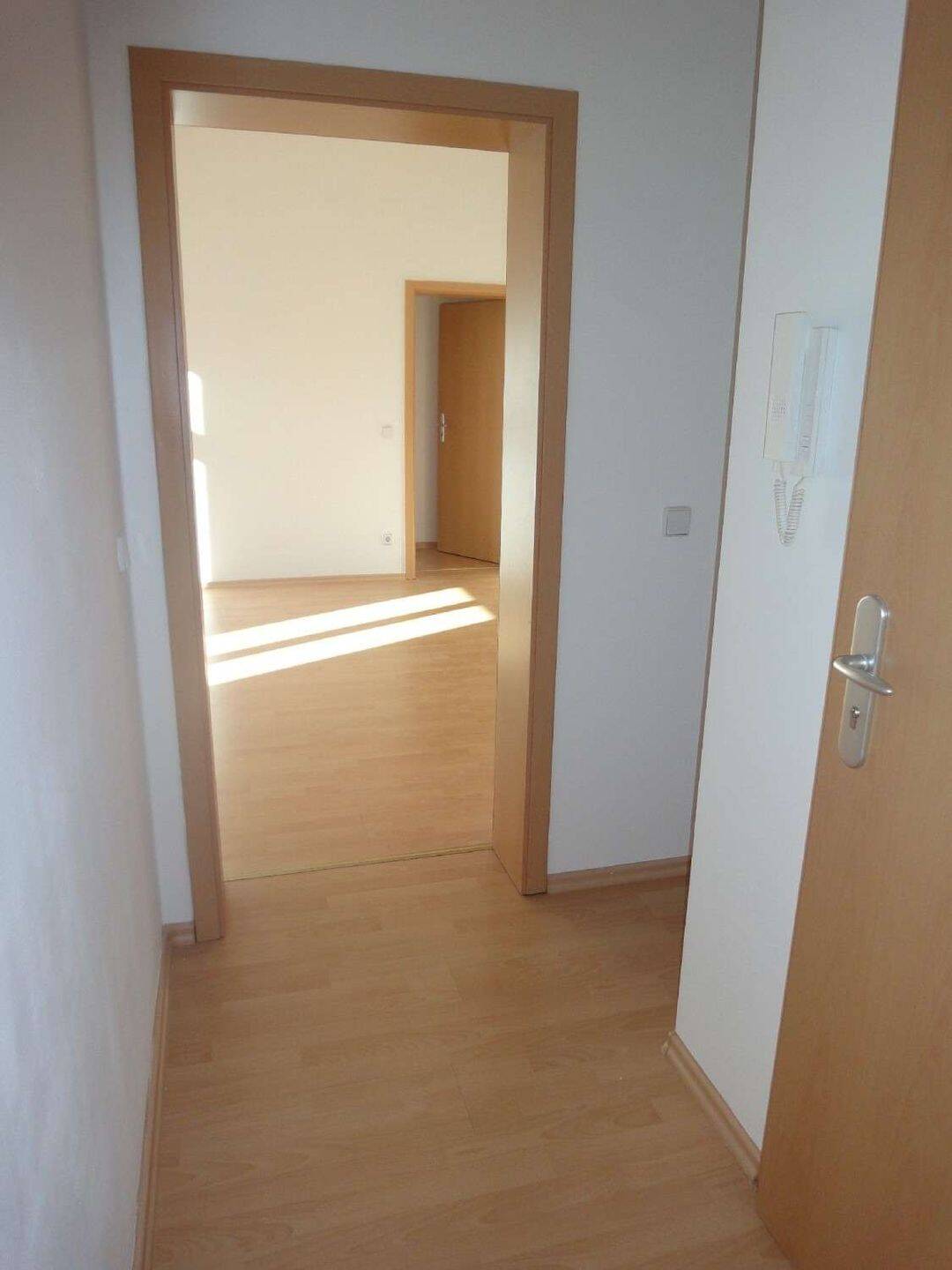 TOP Grundriss und TOP Mietpreis mit Laminat in Schloß-Chemnitz – Chemnitz – Vorschaubild 6