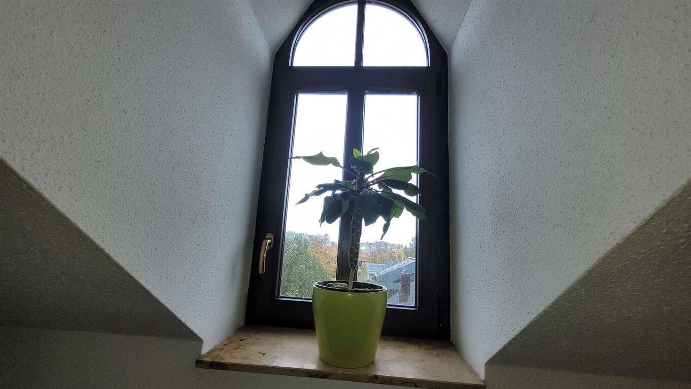 DG-Maisonette im Gründerzeithaus zum Selbstnutzen oder Kap.anlage – Chemnitz – Vorschaubild 5