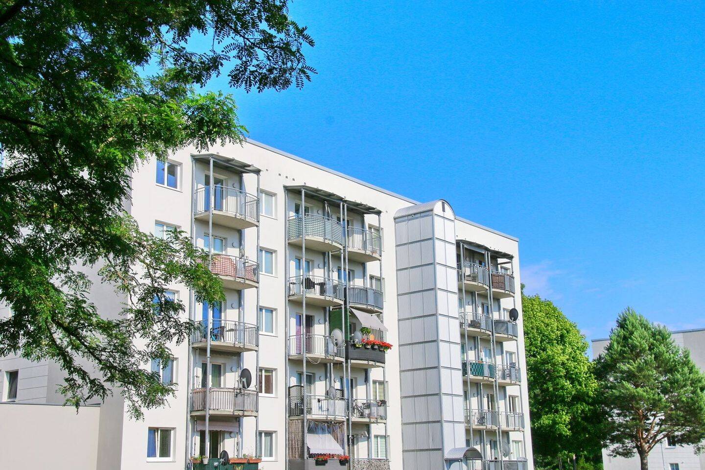 Waldesruh - Lichtdurchflutete Wohnung mit Balkon – Zossen – Vorschaubild 8