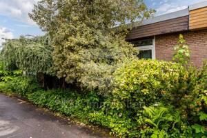 Gemütlicher Bungalow mit besonderem Ambiente – 53117 Bonn – Vorschaubild 4