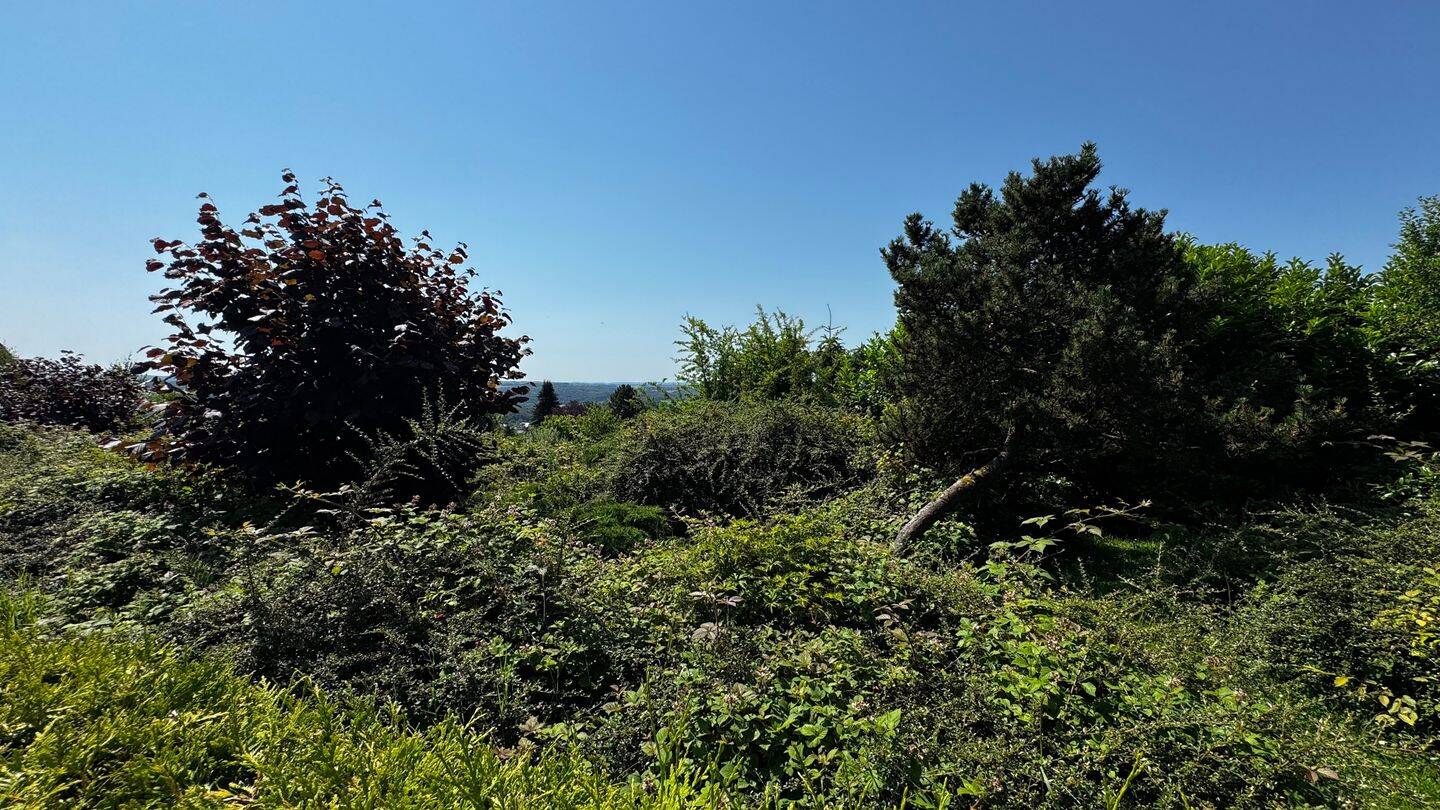 Fernblick inklusive - gepflegtes Einfamilienhaus mit Garten und zusätzlichem Grundstück – Much – Vorschaubild 5