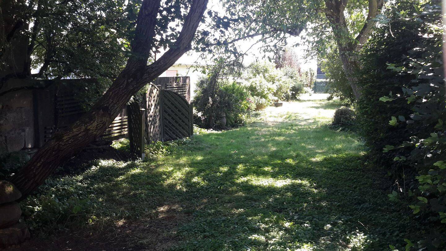 5-Zi Küche, Bad, WC, Dachterasse, großer Garten im Hunsrück – Bergen – Vorschaubild 4