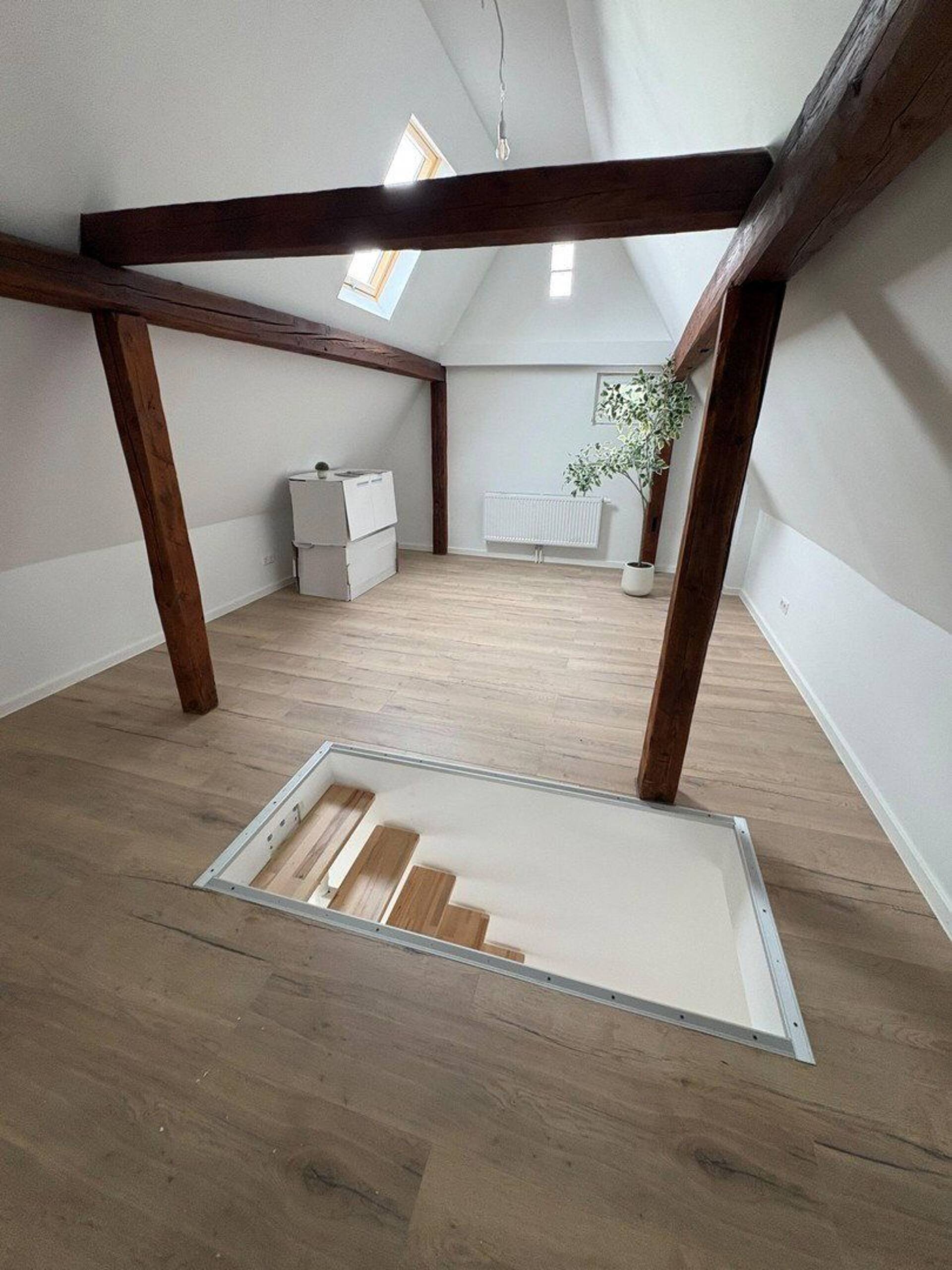 Haus in 76756 Bellheim mit 141 m² kaufen