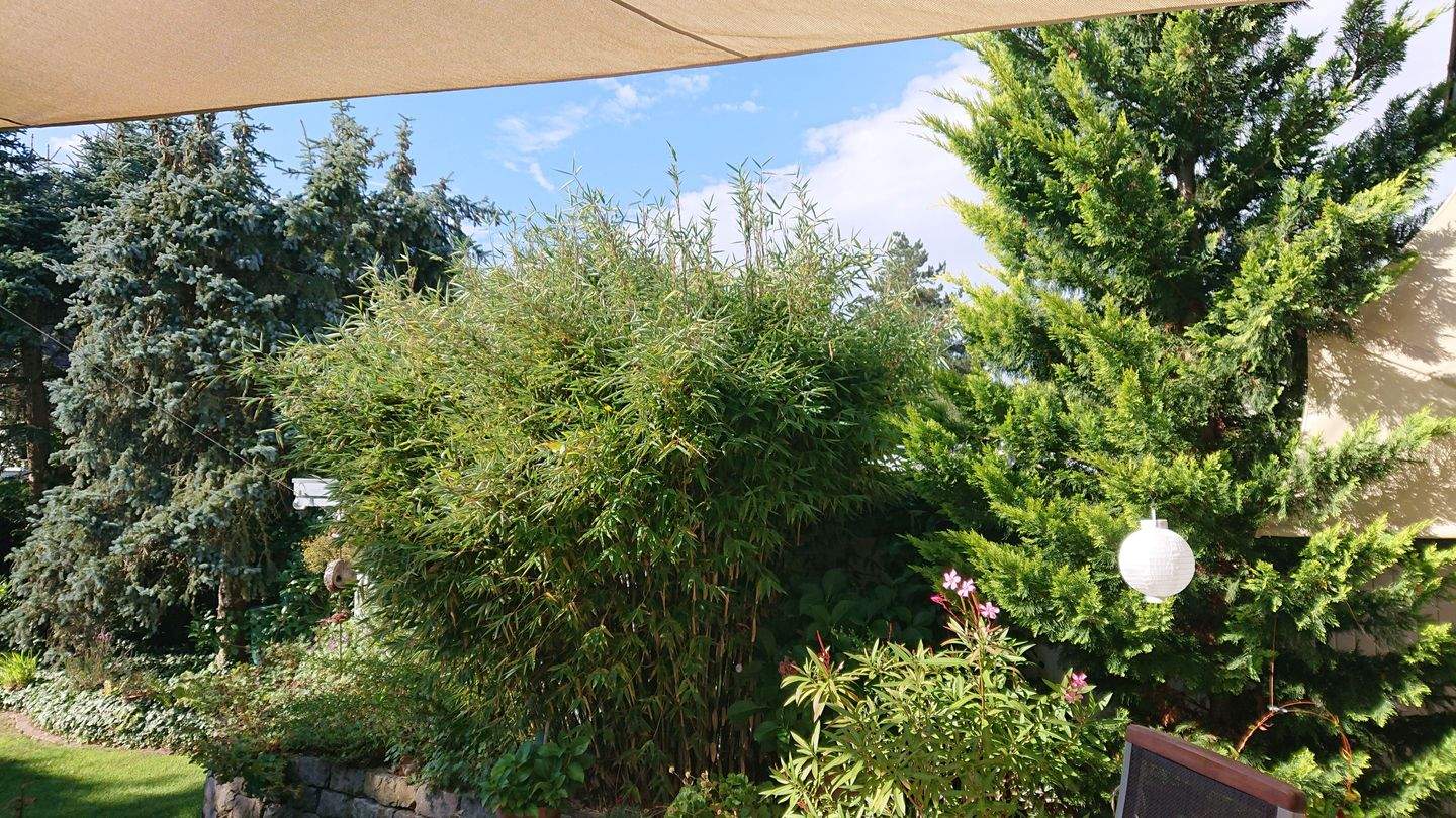 Urlaub zu Hause in der Doppelhaushälfte in N-Eibach – Nürnberg – Vorschaubild 7