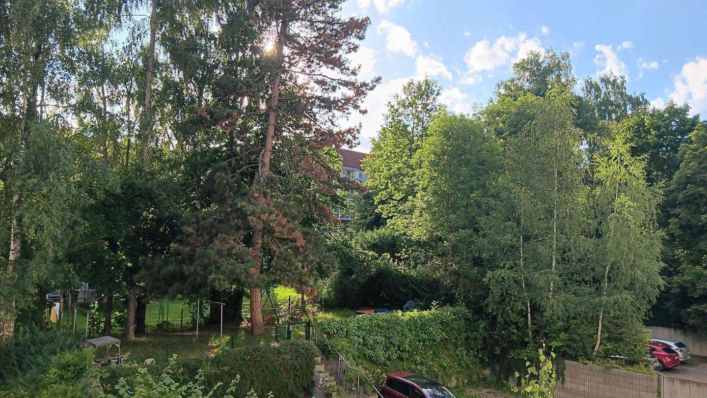 Kaßberg - Wohnen mit Geschichte - investieren mit Zukunft – Chemnitz – Vorschaubild 8
