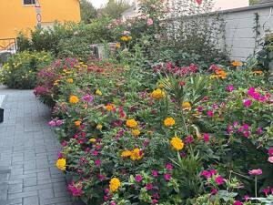 Autarke Luxusvilla mit Naturgarten & Teich – Modernes Wohnen auf 272 m² am Paulusplatz in Bonn – 53119 Bonn – Vorschaubild 6