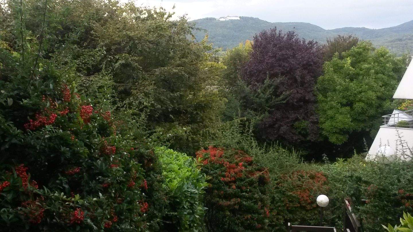 Repräsentativ in exklusiver Aussichtslage von Bad-Godesberg – Bonn – Vorschaubild 4