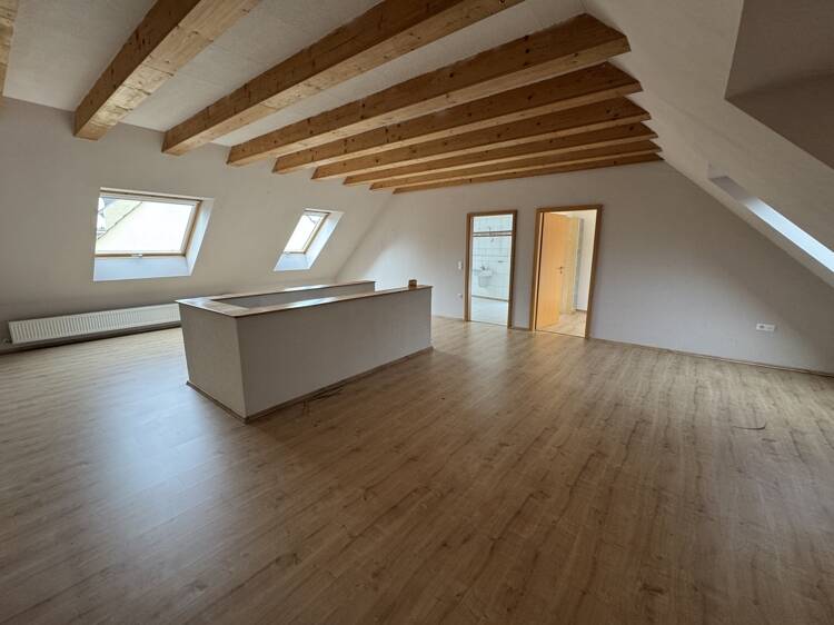 Zweifamilienhaus in zentraler Lage – Mannheim – Vorschaubild 7