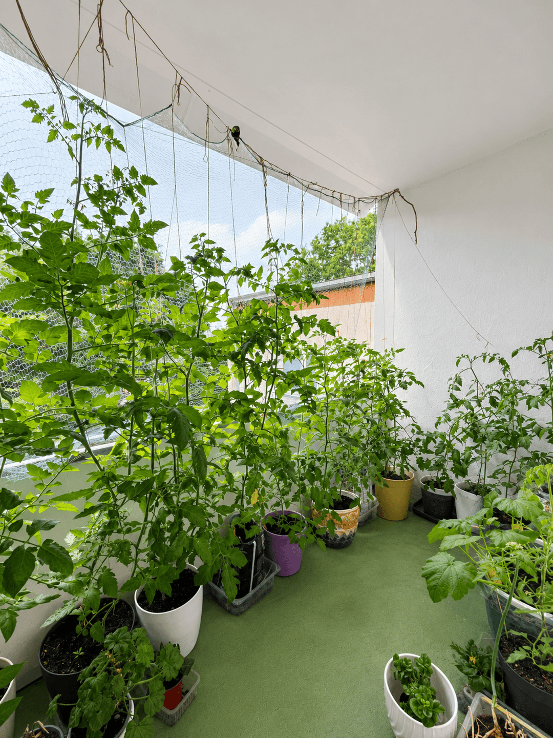 Etagenwohnung in 26125 Oldenburg (Oldb) mit 66,82 m² kaufen